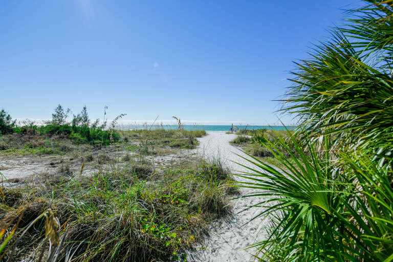 Sandy Trail With Ocean End