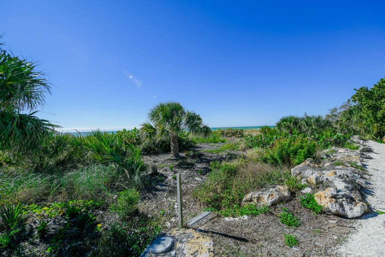 Beach Access Via Garden Path