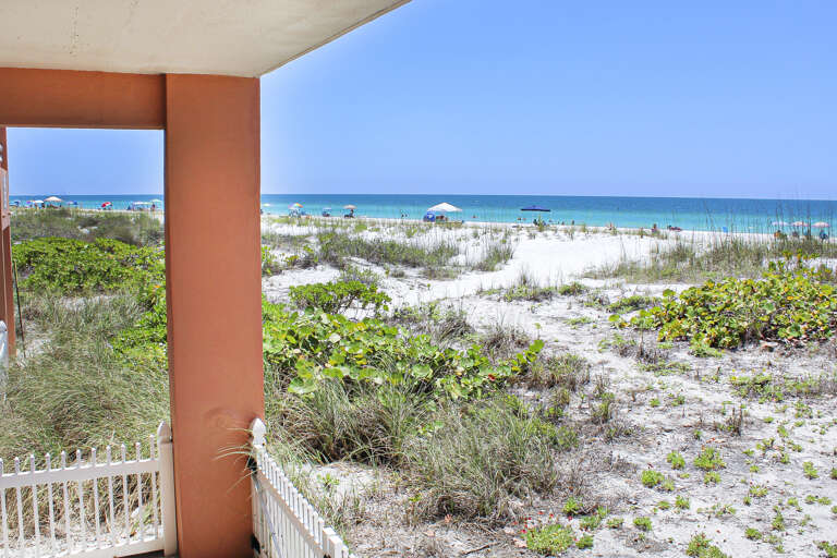 Beach View