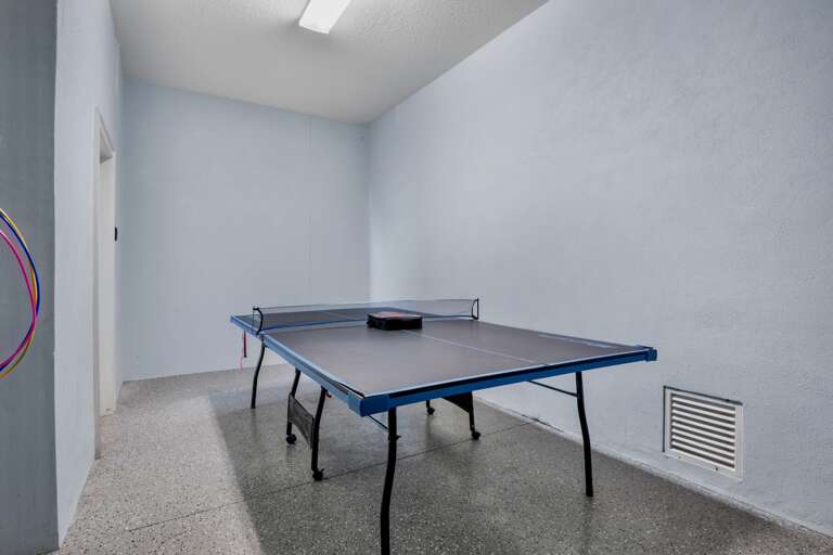 Ping Pong Table