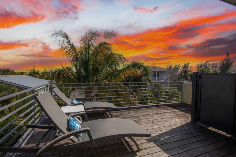 Rooftop terrace overlooking tropical palms