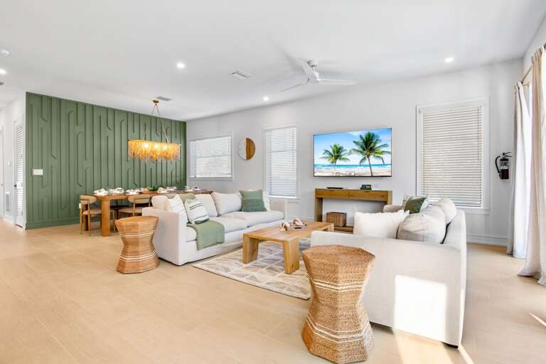 Open living space with TV