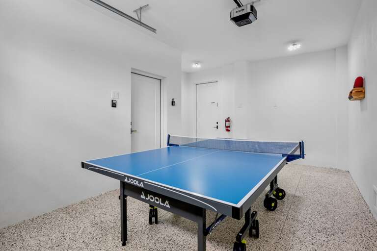 Ping pong table