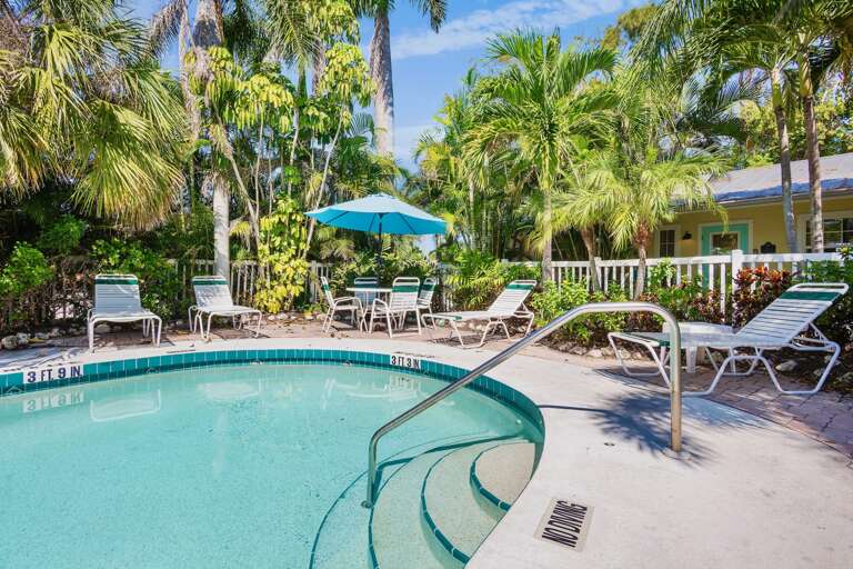 Shared Pool Loungers