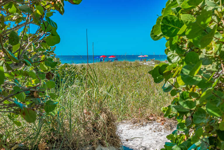 Beach Path