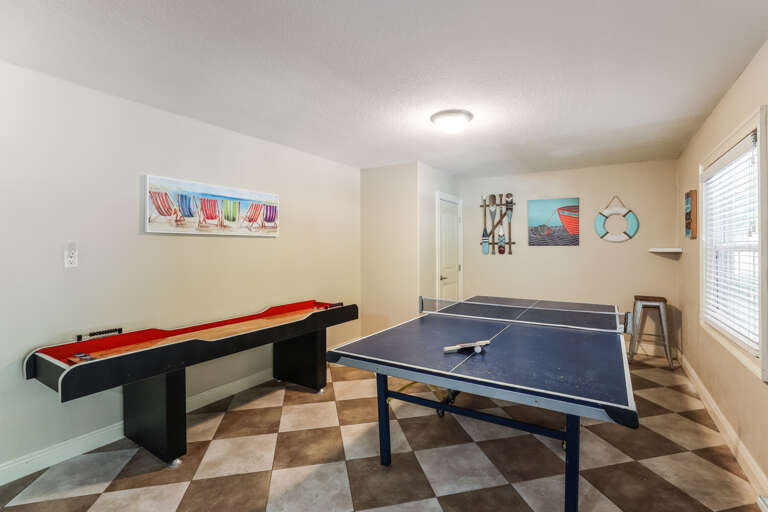 Ping Pong Table