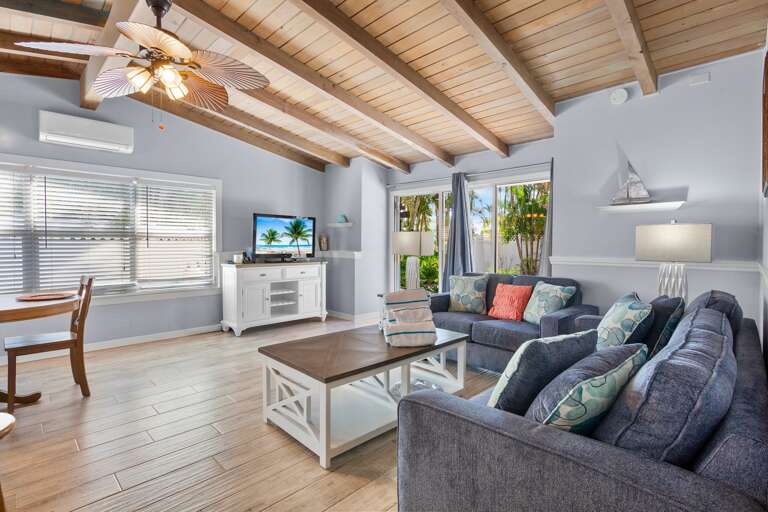 Bright living space with smart TV