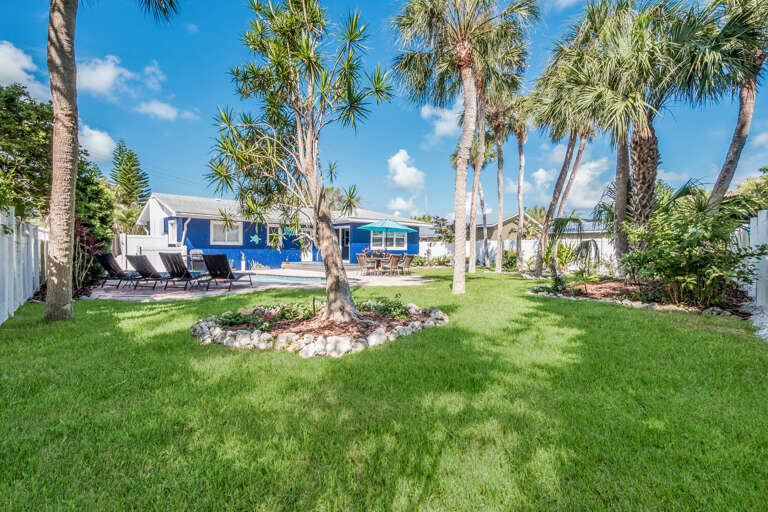 Backyard View
