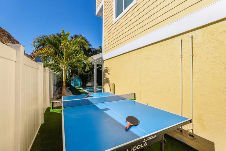 Ping Pong Table