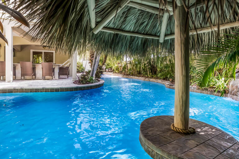 Swim-up Tiki Bar