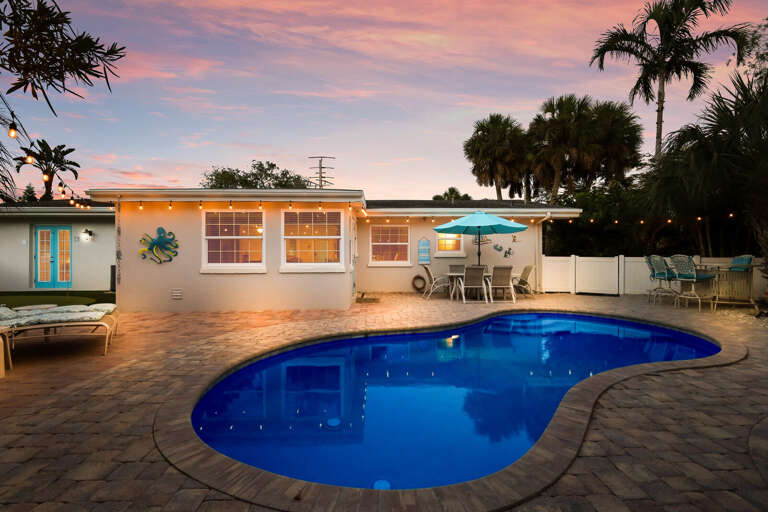 Sea Turtle - By Anna Maria Island Accommodations