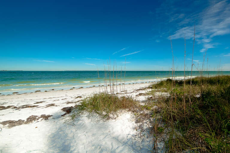 Beach View