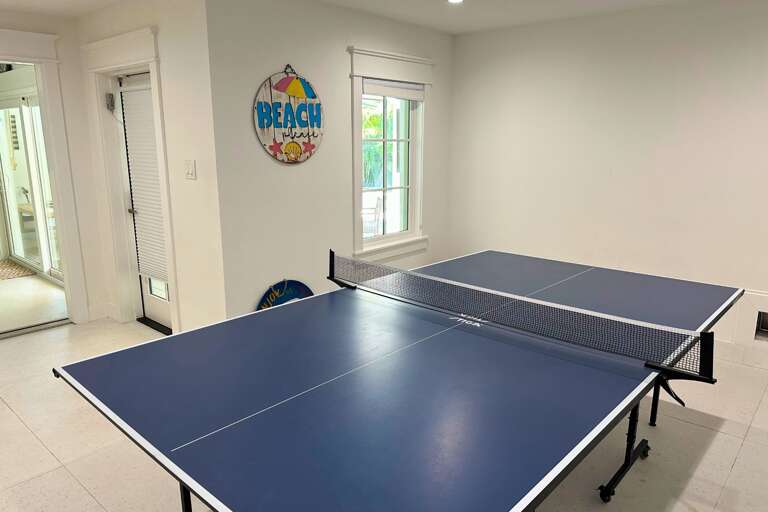 Ping Pong Table