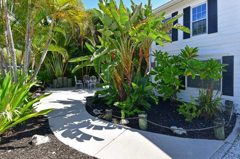 Tropical landscaping
