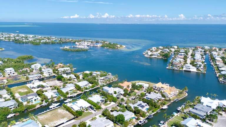 Dolphin Daze by Anna Maria Island Accommodations