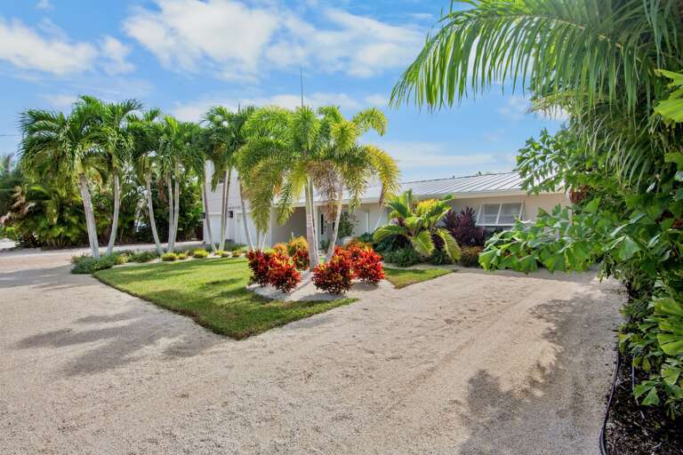 Dolphin Daze by Anna Maria Island Accommodations
