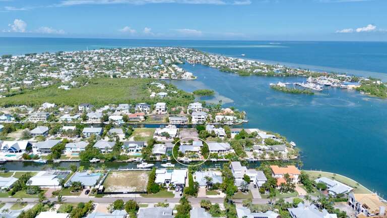 Dolphin Daze by Anna Maria Island Accommodations