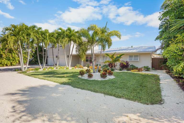 Dolphin Daze by Anna Maria Island Accommodations