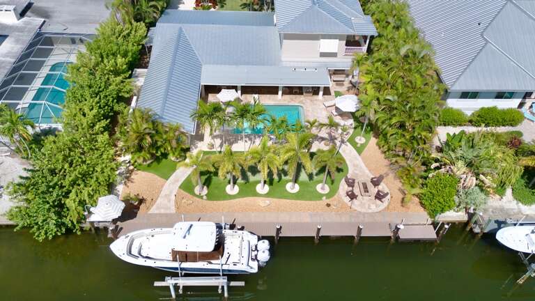 Dolphin Daze by Anna Maria Island Accommodations