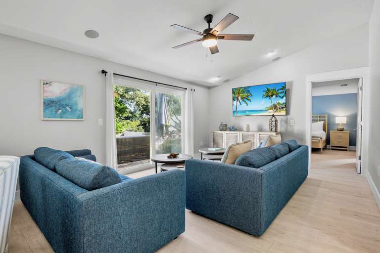 Living Area with TV