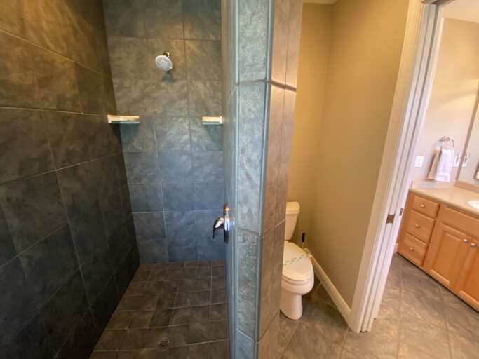 Primary Ensuite - Shower and Bath