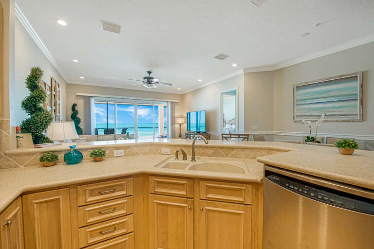 Kitchen View