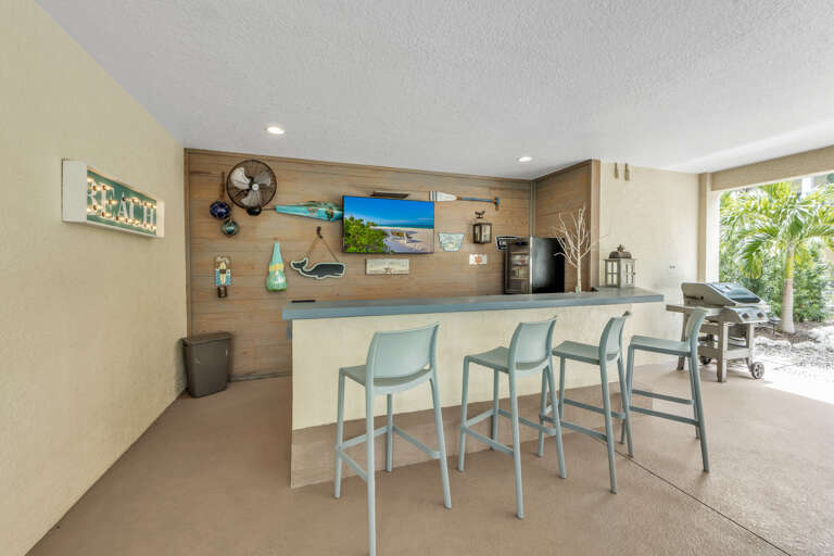 Outdoor Bar and TV