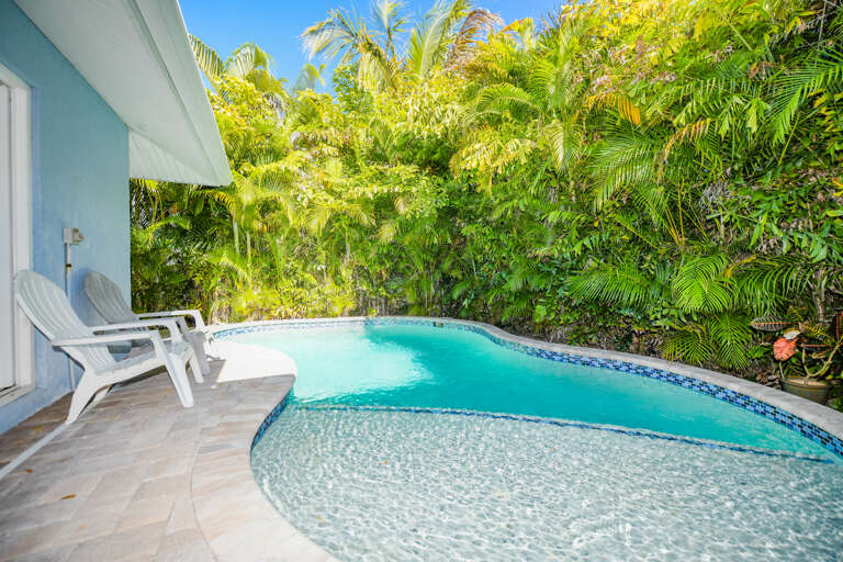 Pool with Sun Shelf