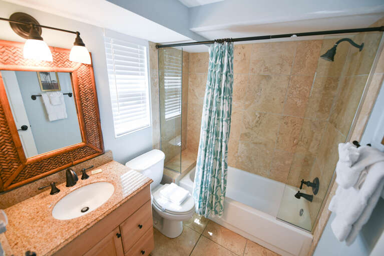 Guest bath with tub shower