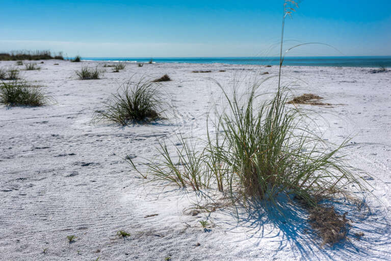 Anna Maria Island