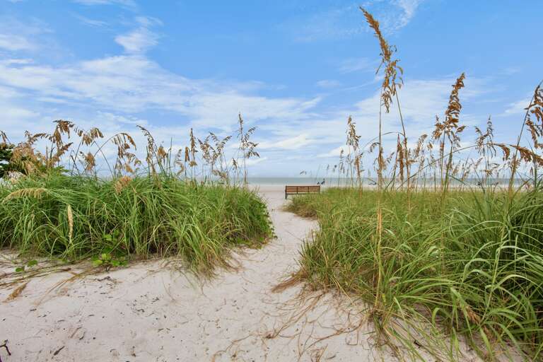 Path to Beach