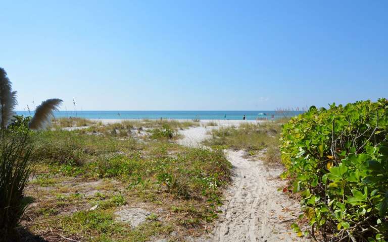 Path to the Beach