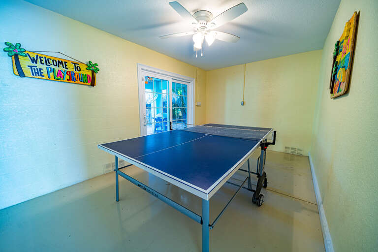 Ping  Pong Table
