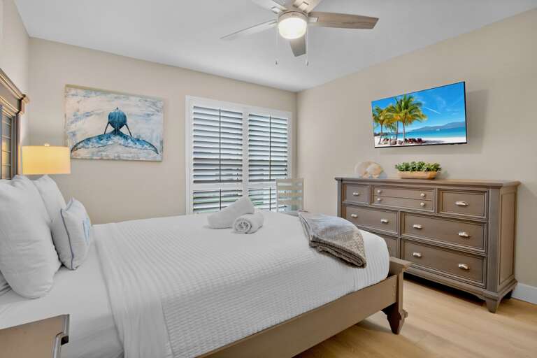 Second Bedroom, Queen bed with TV