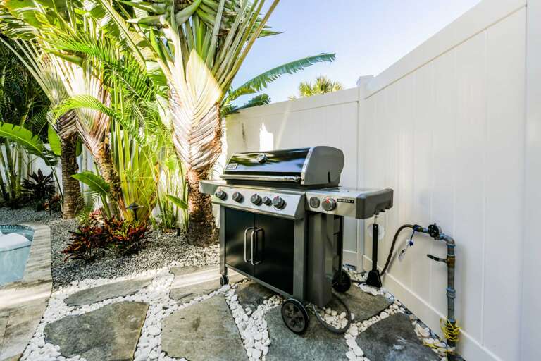 Gas Grill