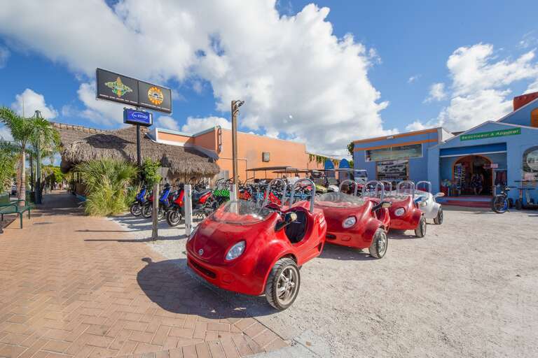 Rental of carts, bicycles, beach accessories