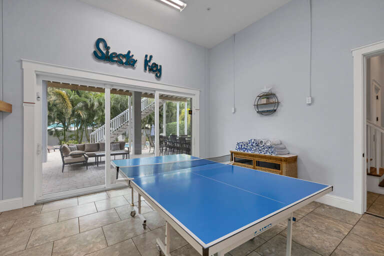 Ping Pong Table