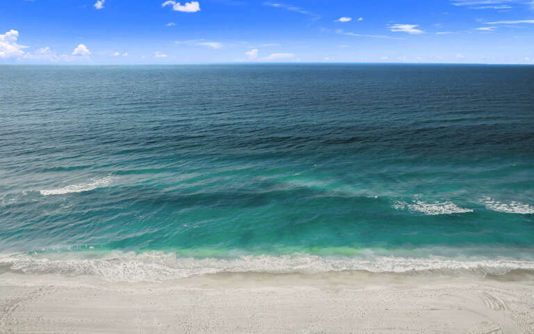 The Shaded Sanctuary - Siesta Key Luxury Rental Properties
