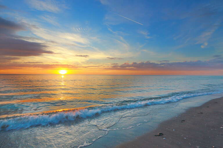 The Shaded Sanctuary - Siesta Key Luxury Rental Properties