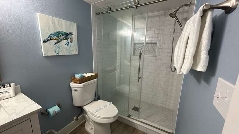 Hall Bathroom, Full bath with walk-in shower