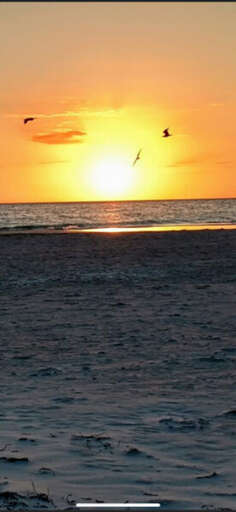Close to the Beach