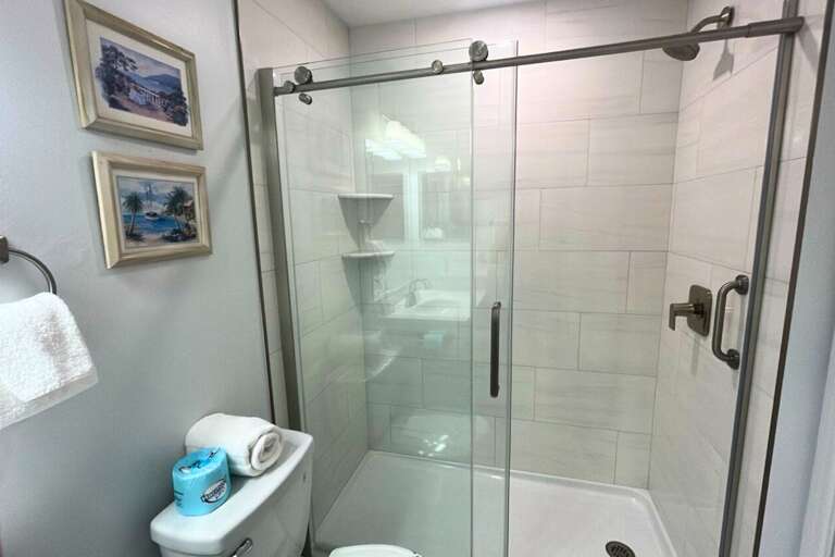 Master Bathroom Shower