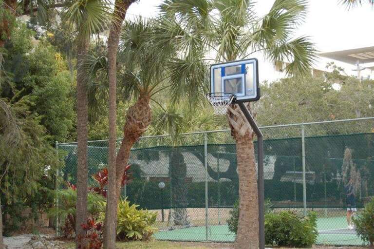 Basketball Court