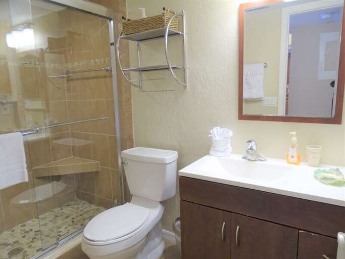 Primary bathroom with walk-in shower