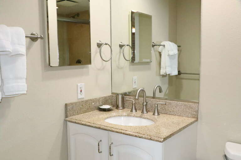 Primary Bedroom, Ensuite Bathroom