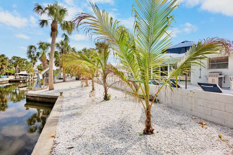 Lush tropical plants throughout the area