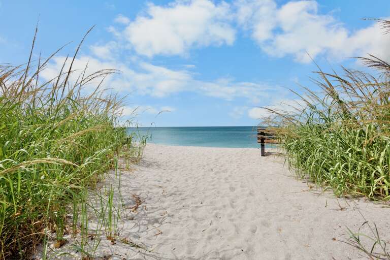 To Beach