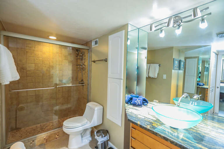 Primary Bathroom, Ensuite