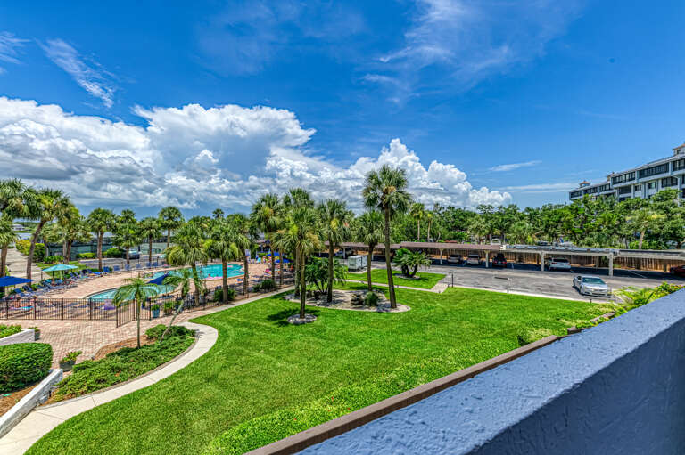 Tropical Views