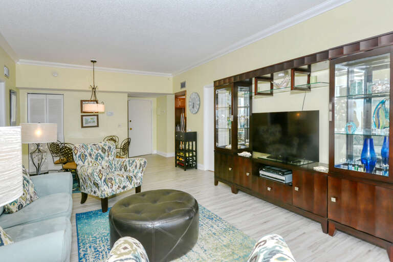 Living space with TV